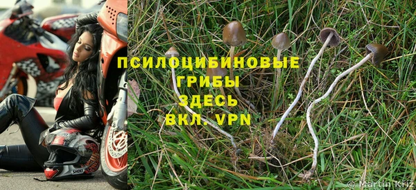 винт Долгопрудный