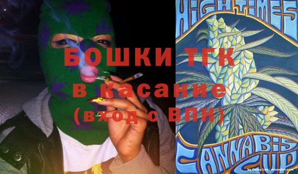 стаф Аркадак