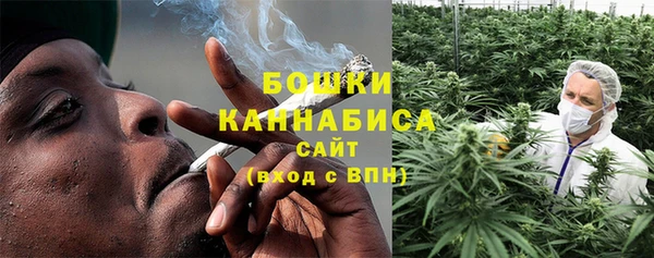стаф Аркадак