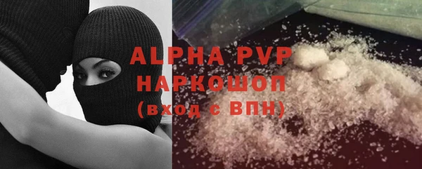стаф Аркадак